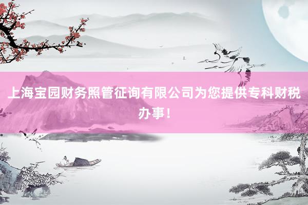 上海宝园财务照管征询有限公司为您提供专科财税办事！