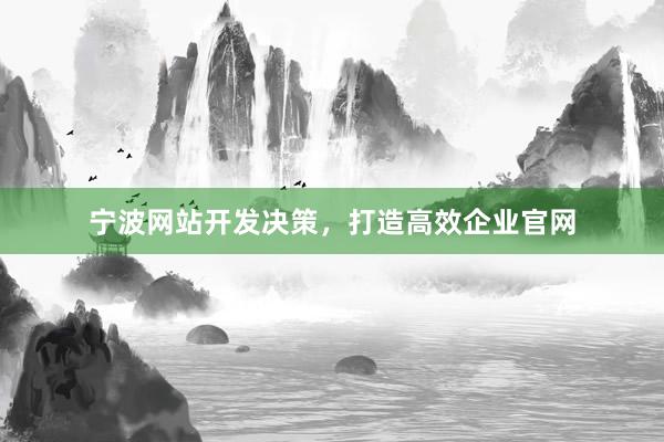 宁波网站开发决策，打造高效企业官网