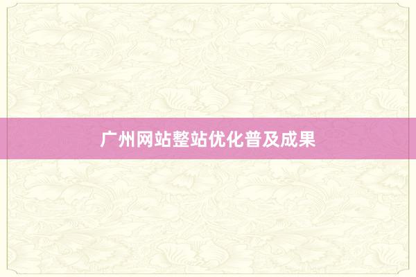 广州网站整站优化普及成果