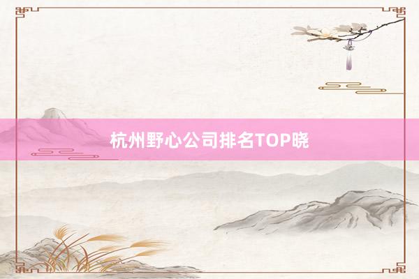 杭州野心公司排名TOP晓