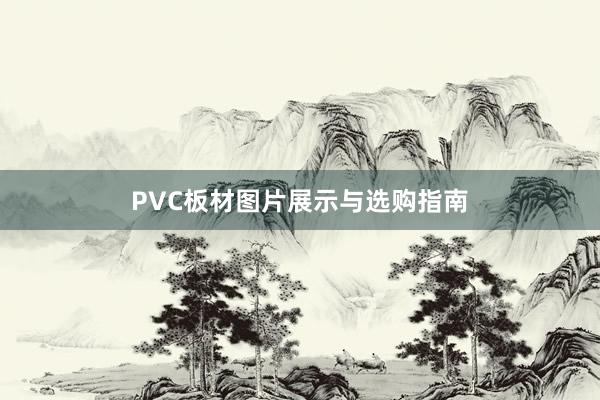 PVC板材图片展示与选购指南